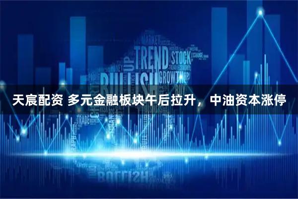 天宸配资 多元金融板块午后拉升，中油资本涨停
